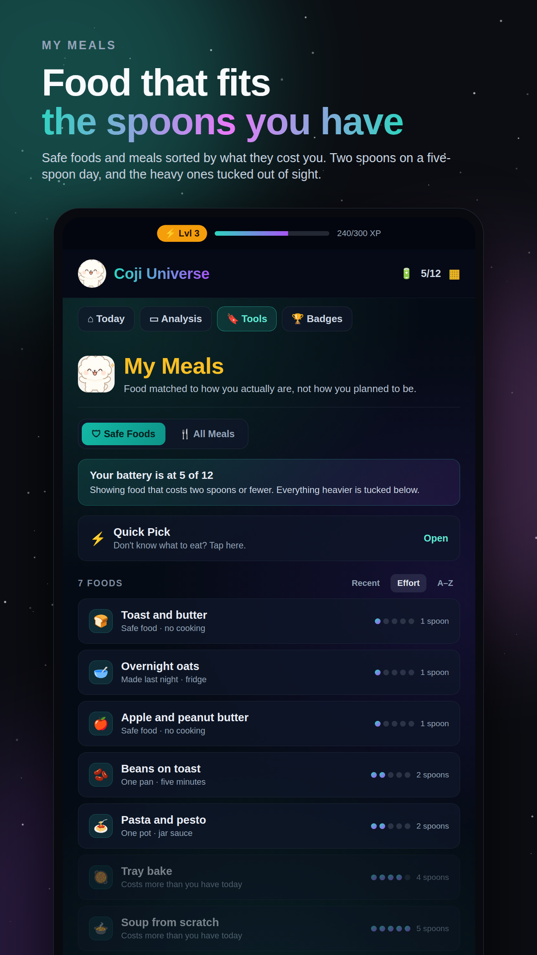 Coji spoon theory meals screen